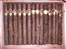Old Cigars.bmp