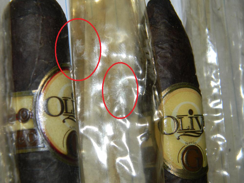 cigars1.jpg