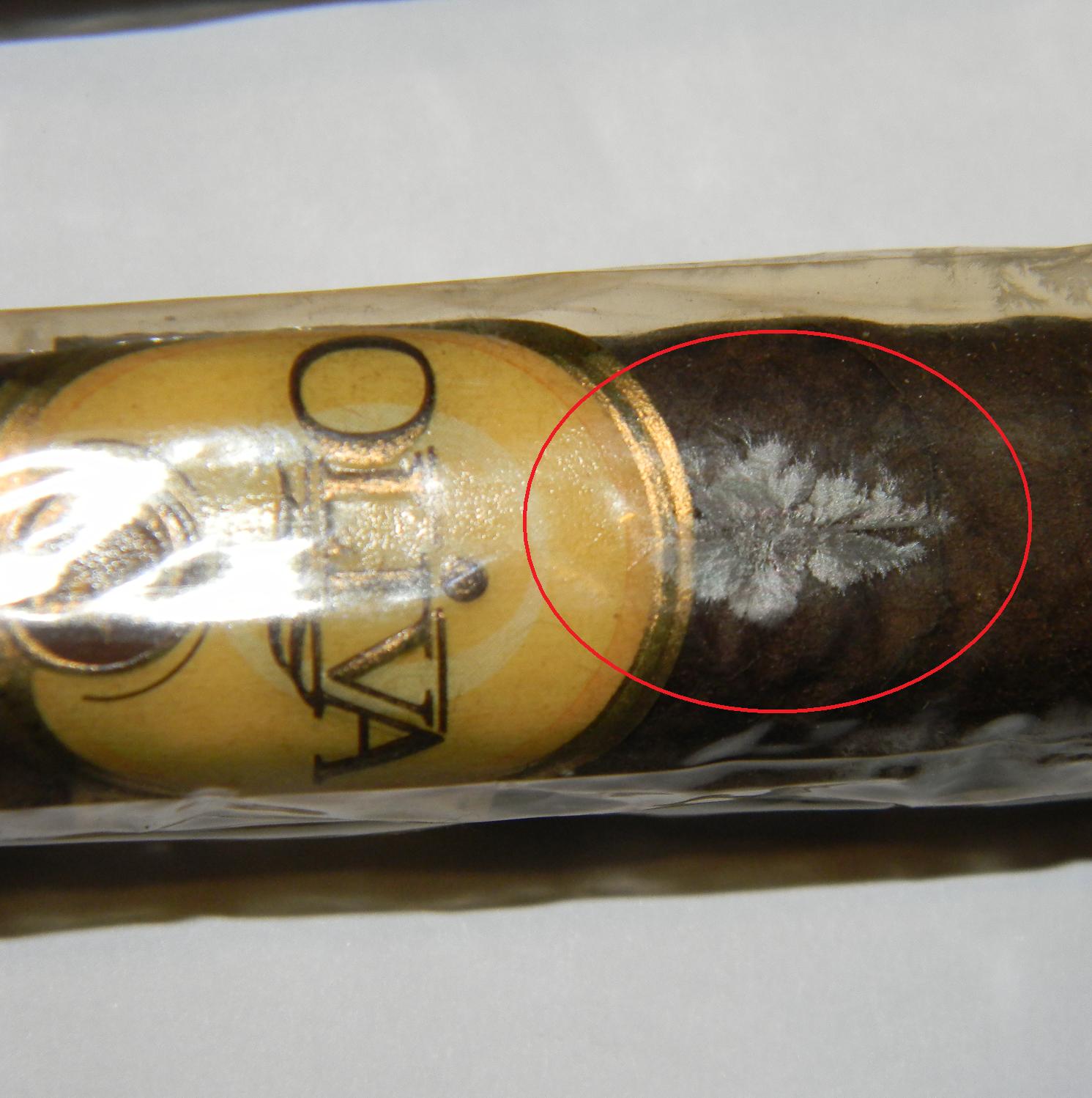 cigars3.jpg