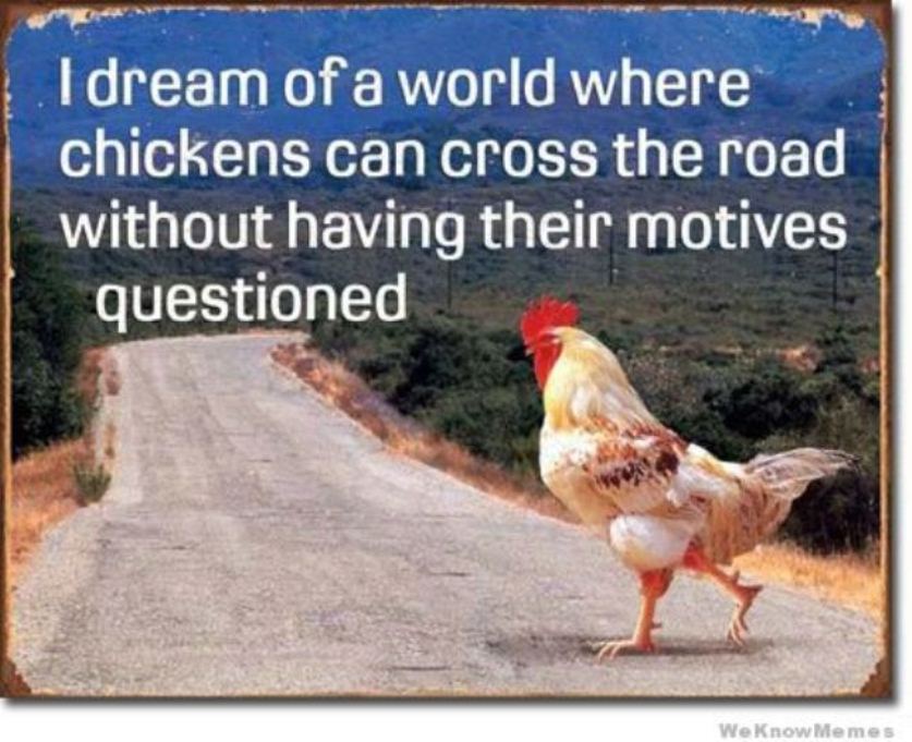 i-dream-of-a-world-where-chickens-can-cross-the-road[1].jpg