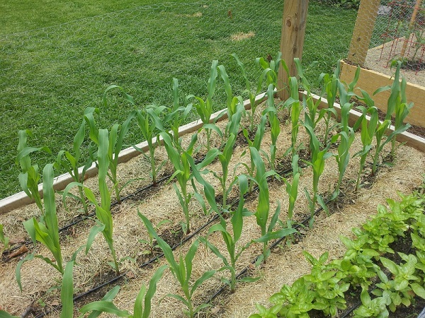 2013-05-23 11.02.39.jpg