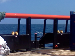 IMG_20130530_112653.jpg
