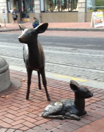 Deer photo.JPG