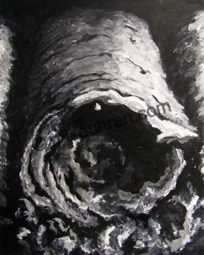 wsSNAP-16x20-Cuban-Ash.jpg