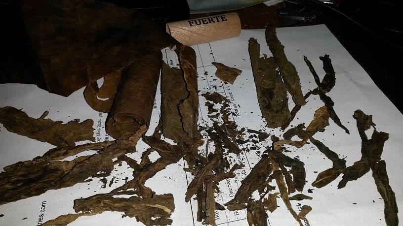 dissected2.jpg