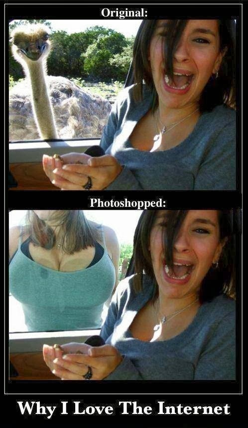 Why-I-love-the-Internet1.jpg