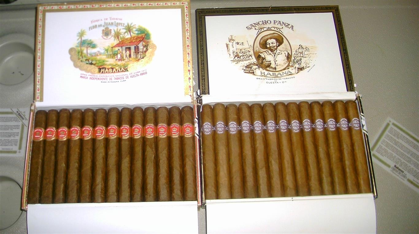IMAG0240 (Medium).JPG