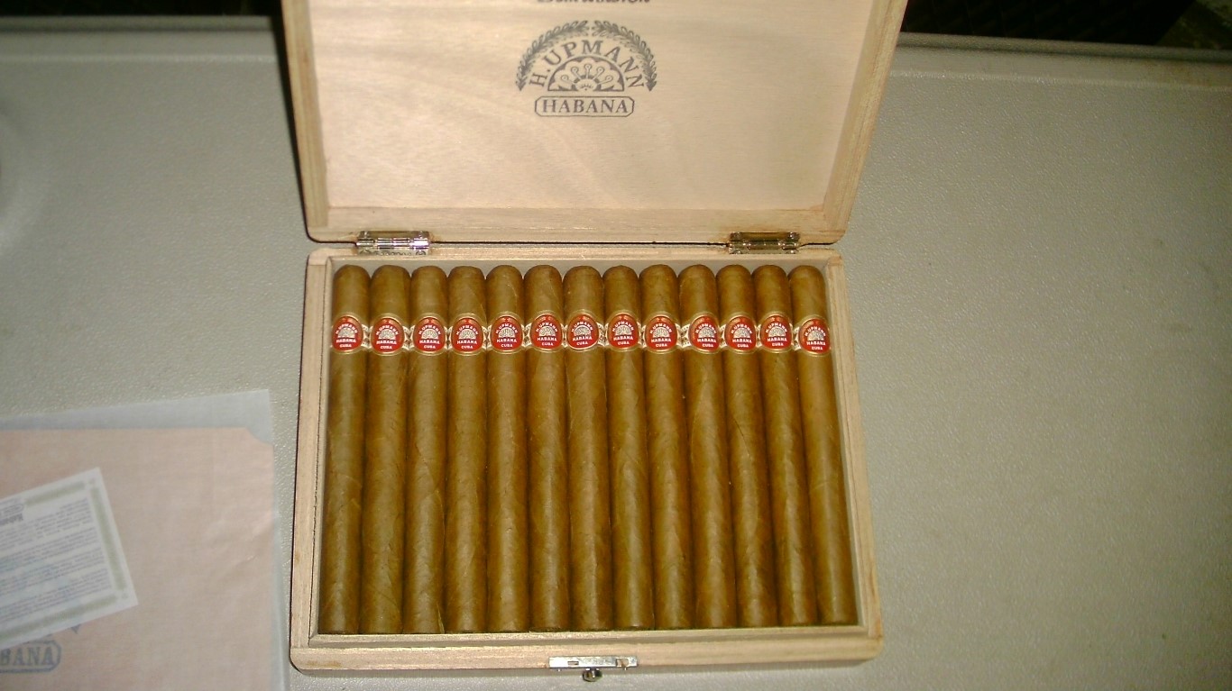 Sir Winston 2 (Medium).JPG