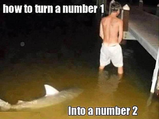 10552471_937950846230353_4218999841969258222_n.jpg