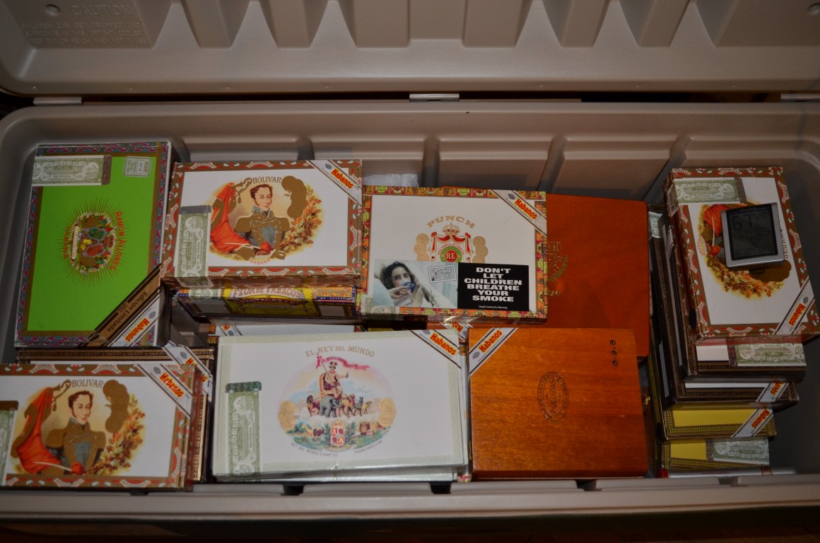 Coolerdor 003 (Medium).JPG