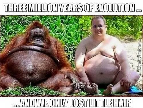 evolution.jpg
