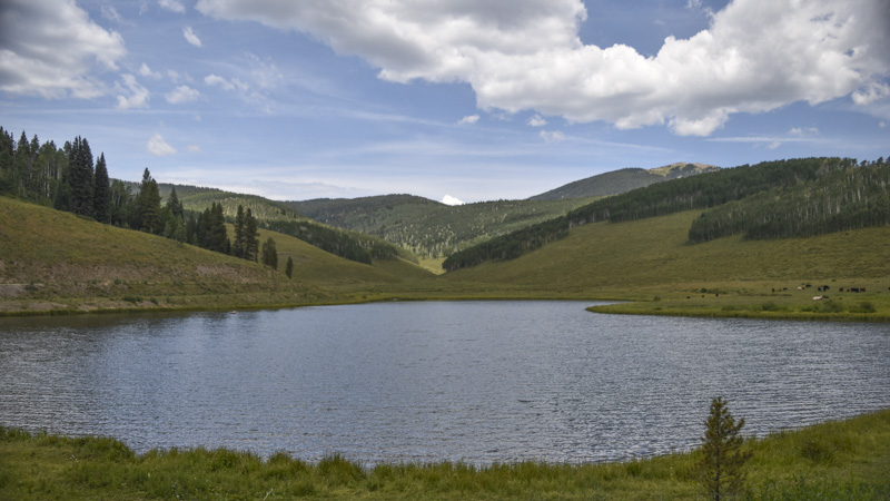 DSC_0179_CC.jpg