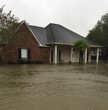 Anthonys house.jpg