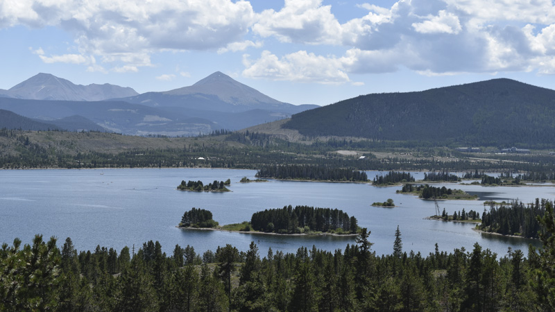 DSC_0078_800px.jpg