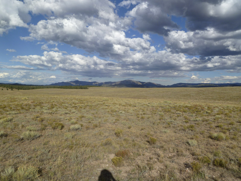 P1110996_800px.jpg
