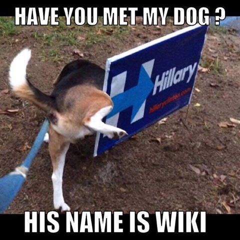 wiki leaks 1.jpg