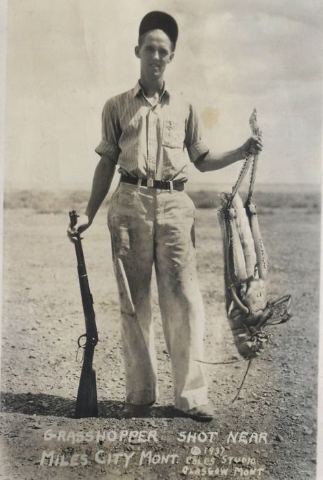 WP_dailysanctuary-com_2015_03_rare034-1-1.jpg