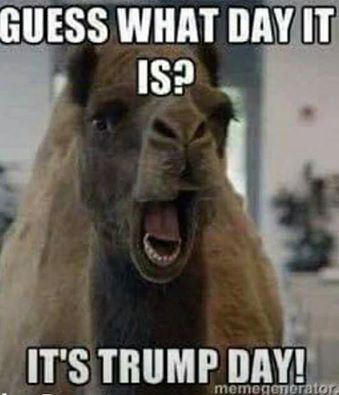 trump day 1.jpg