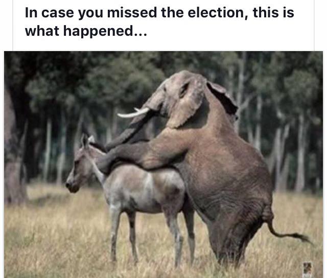 electiom.jpg
