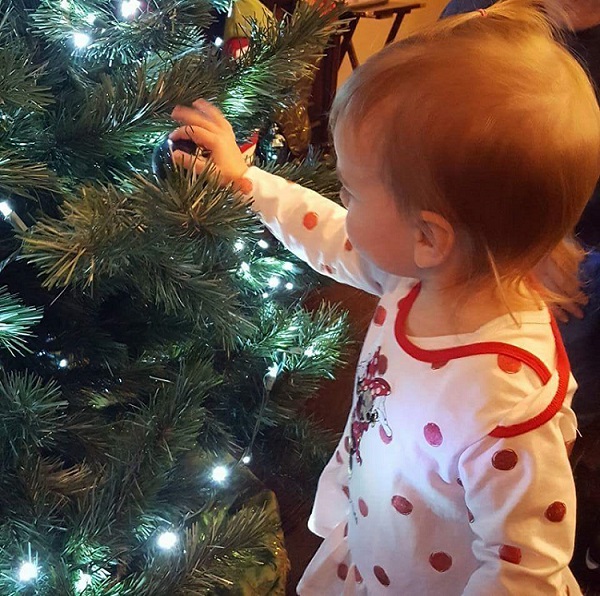 Stella-Christmas Tree.jpg