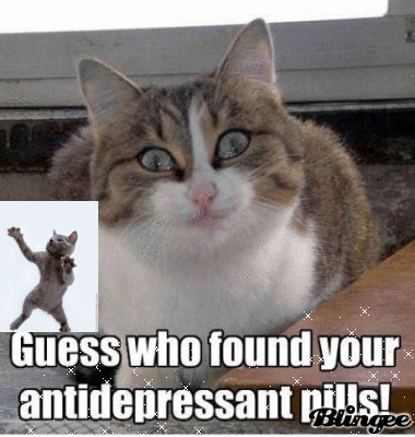 786498722_6118.gif