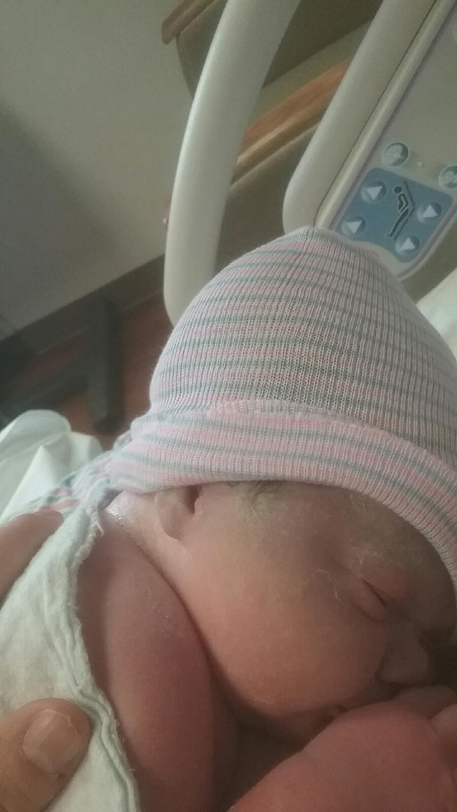amelia rose.jpg