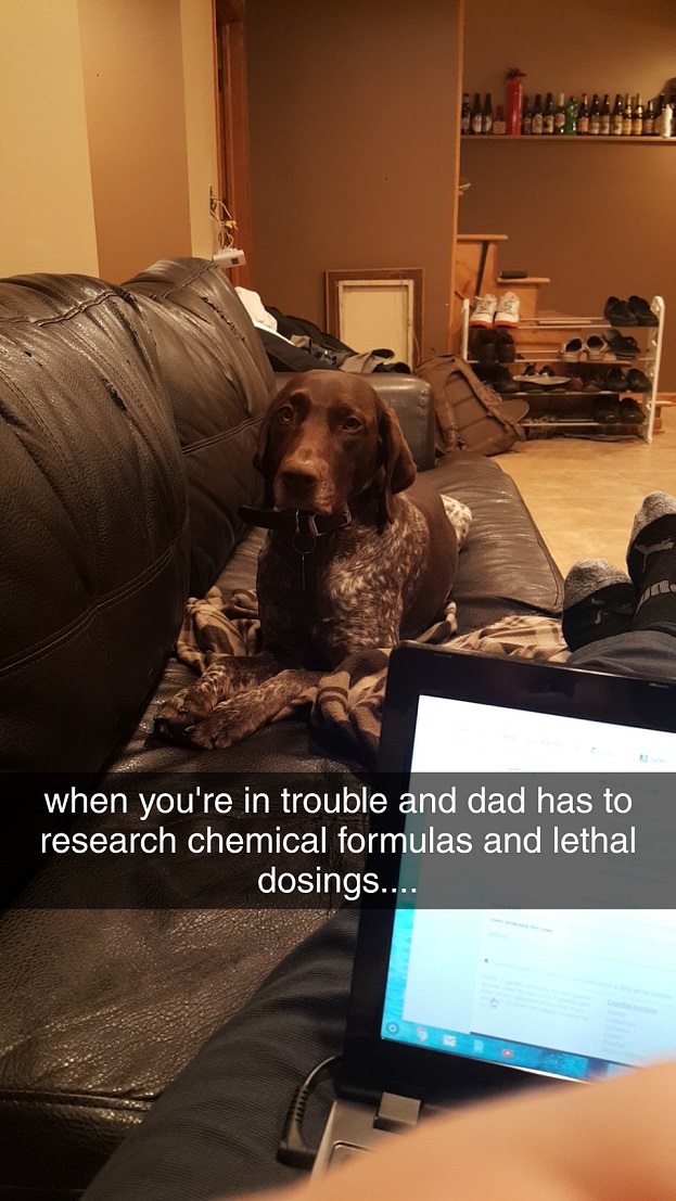 Snapchat-2071309711.jpg