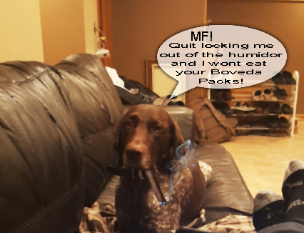 Boveda Pupper.jpg
