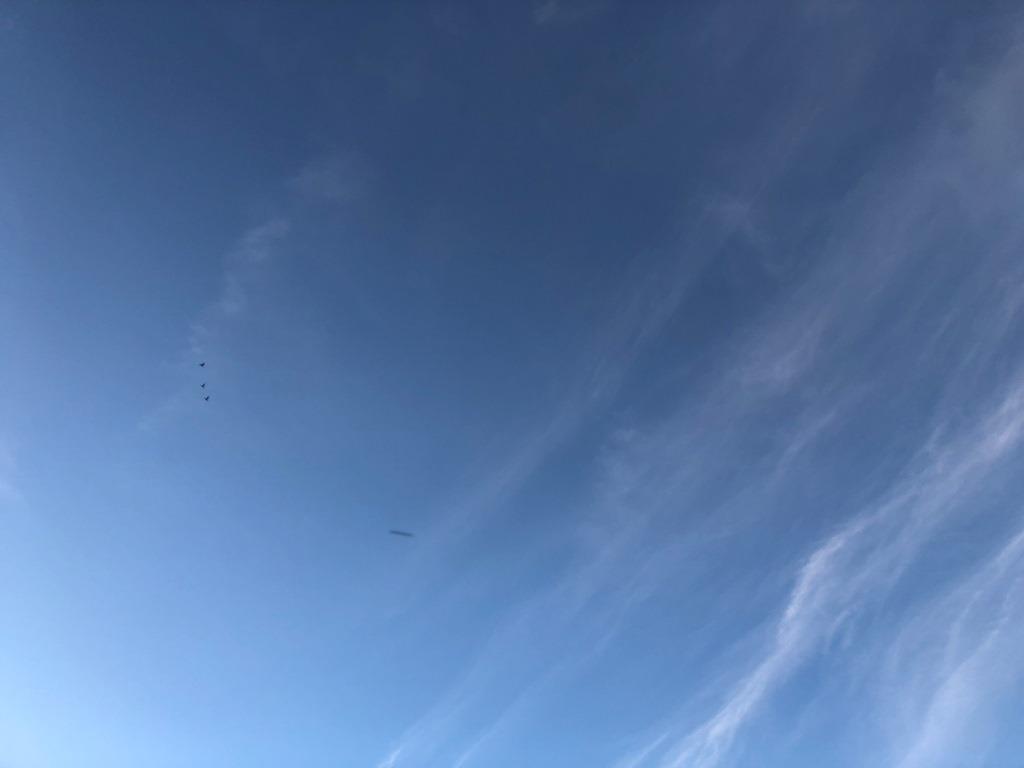 IMG_8829s.jpg