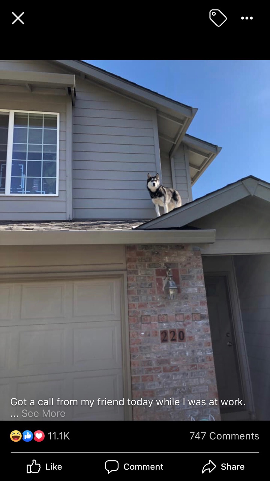roof.jpg