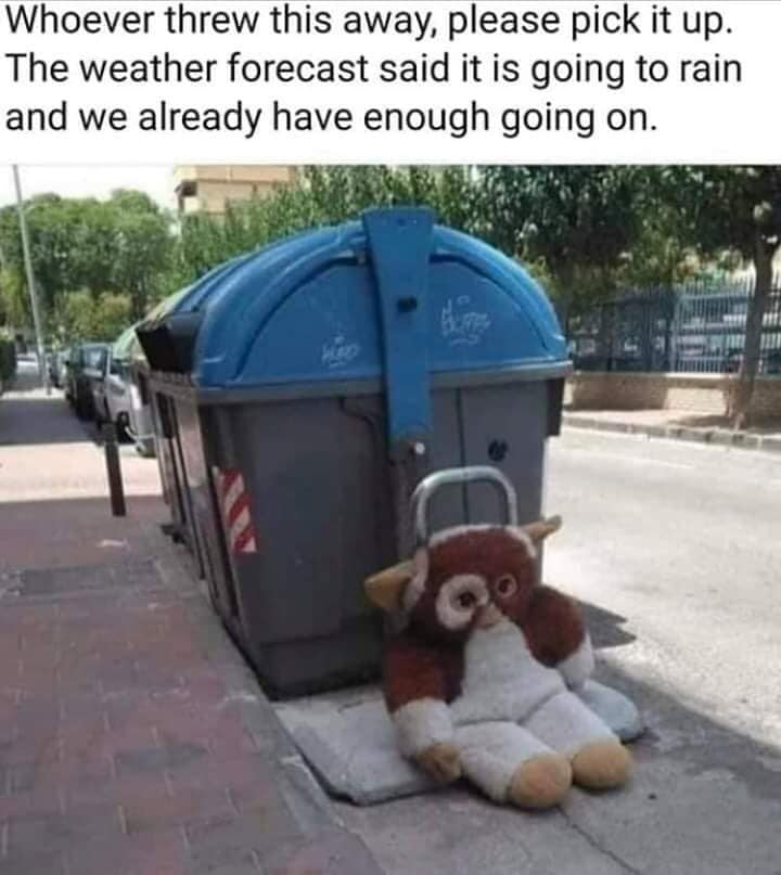 gizmo.jpg