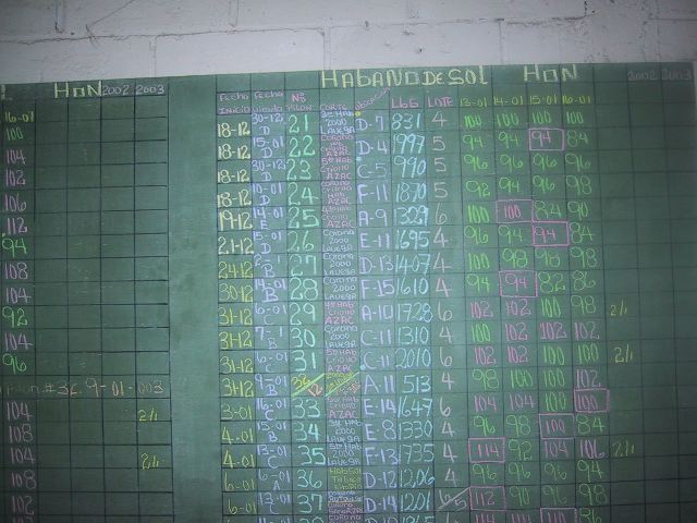 68546.jpg