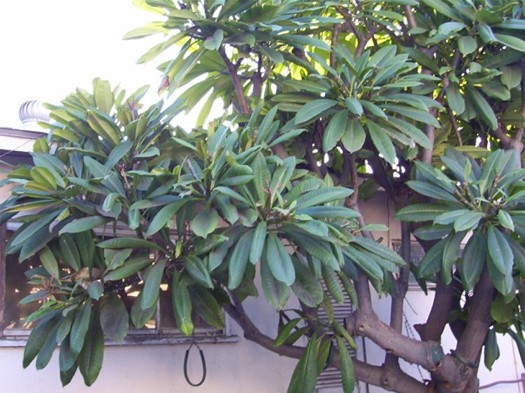 202576.JPG