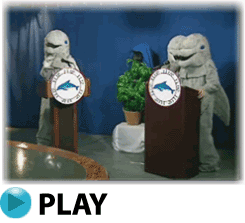 271722.gif