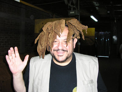 281539.jpg