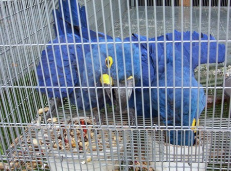 364885.jpg