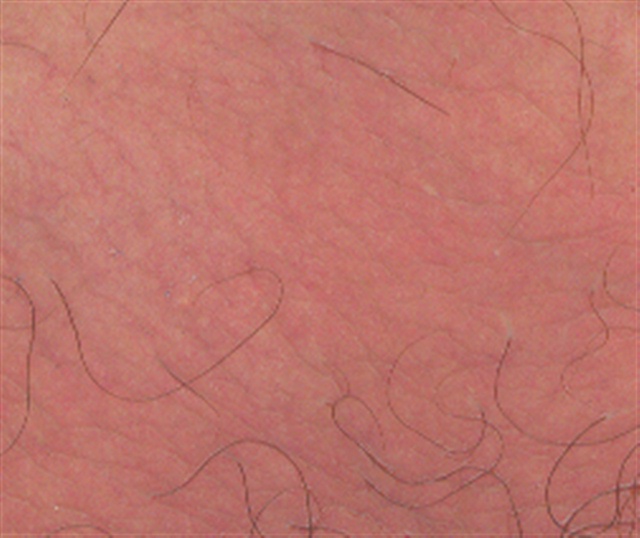 895657.jpg
