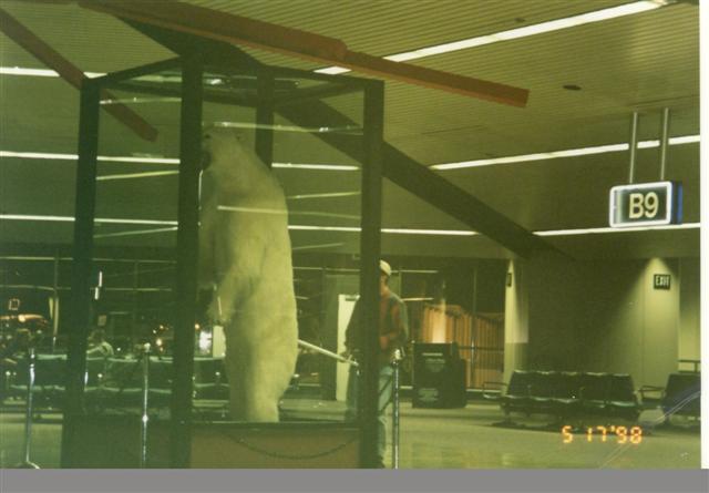 2506953.jpg