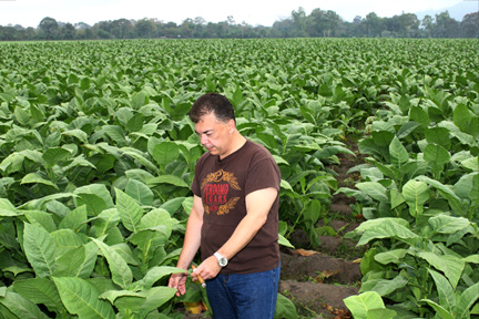 2725772.jpg