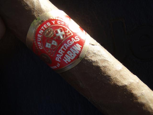 P9220009 (Small).JPG