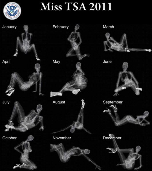tsa2011.jpg