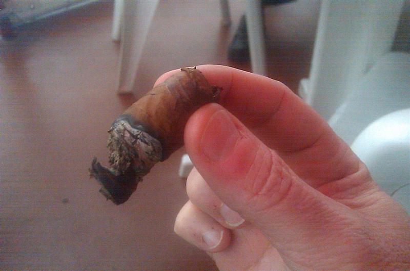 Upmann mag 46.JPG