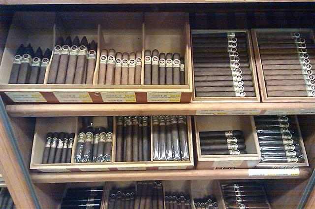 padron-ashton (Small).JPG