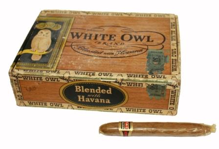 whiteowl.JPG