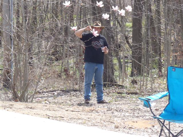 WT flower.JPG