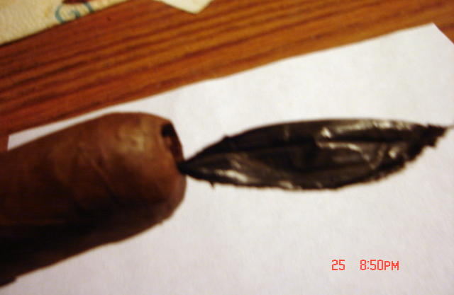 DSC01359 (2).JPG