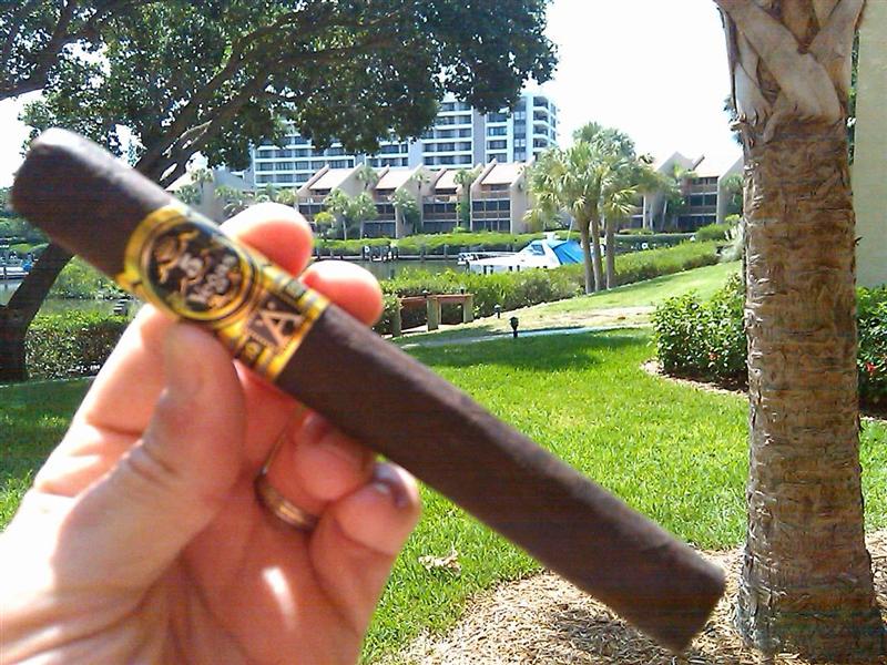Sarasota 5 Vegas (Medium).JPG