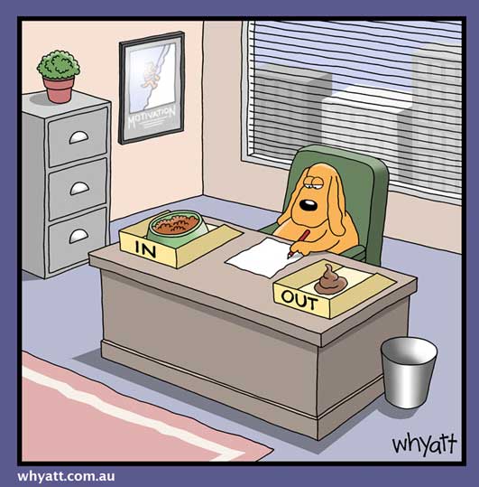 the_organized_dog.jpg