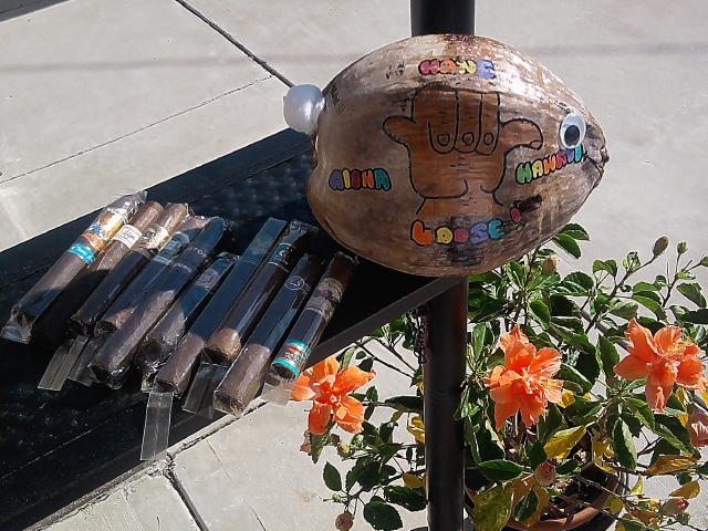 Photo0463.jpg