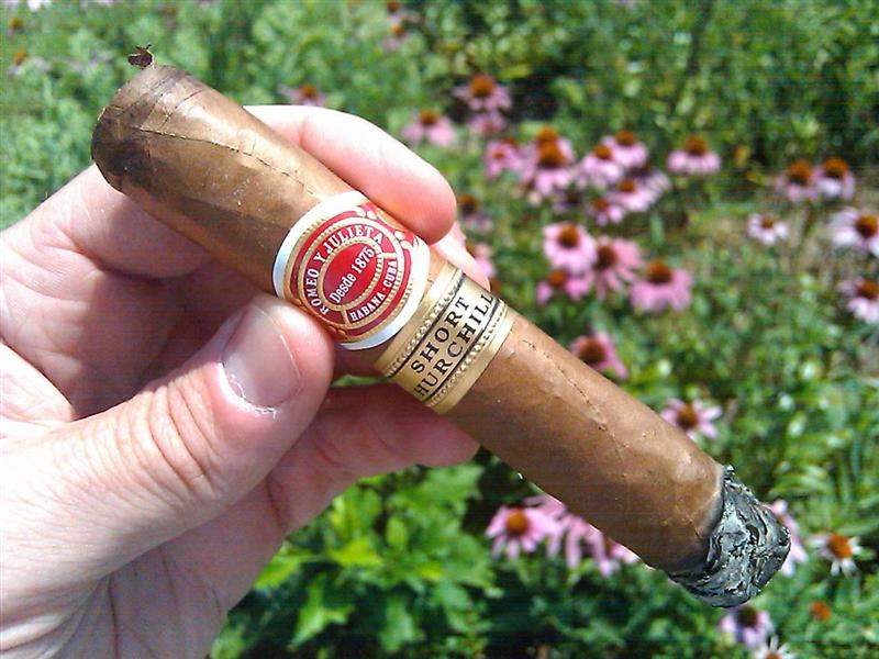cigar RyJ short churchill (Medium).JPG